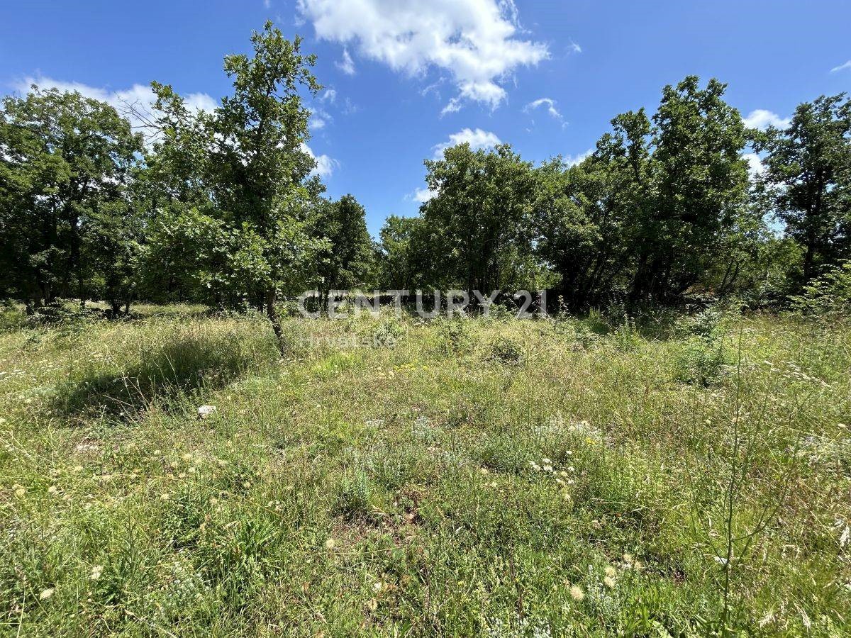 Land For sale - ISTARSKA MARČANA