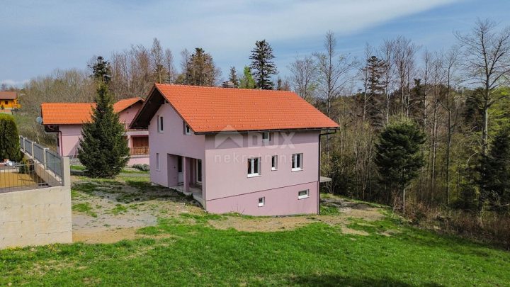 Maison À vendre - Primorsko-goranska Fužine - foto 2/59