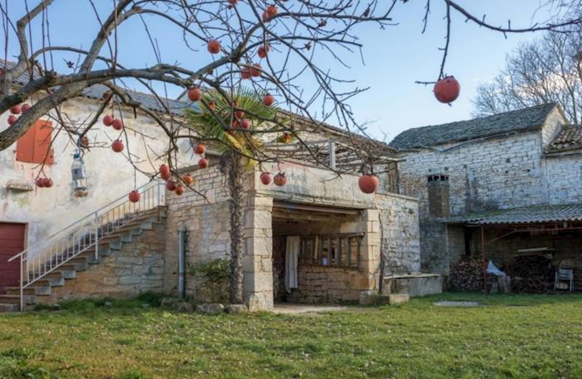 Casa In vendita - Istarska žminj - foto 3/14