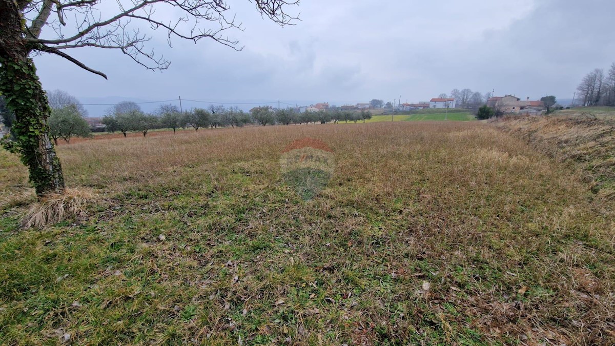 Terreno In vendita