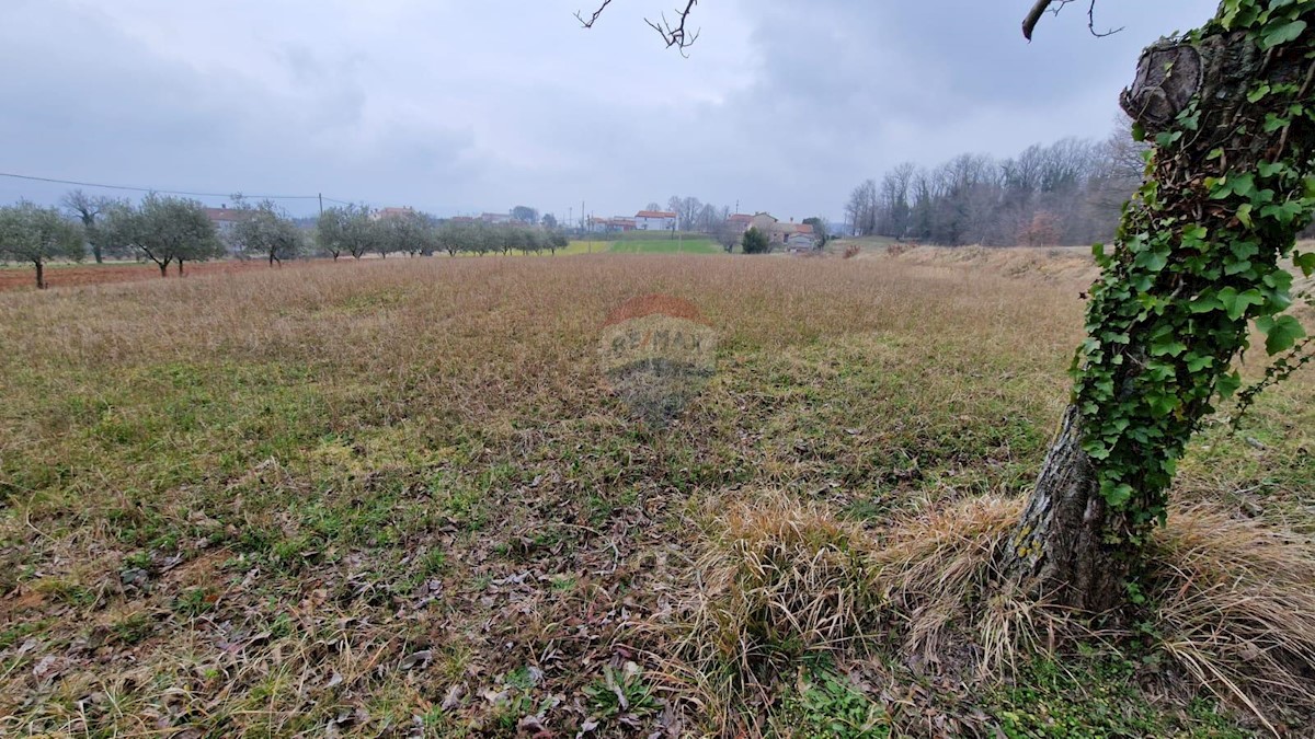 Terrain À vendre - Istarska Barban - foto 2/7