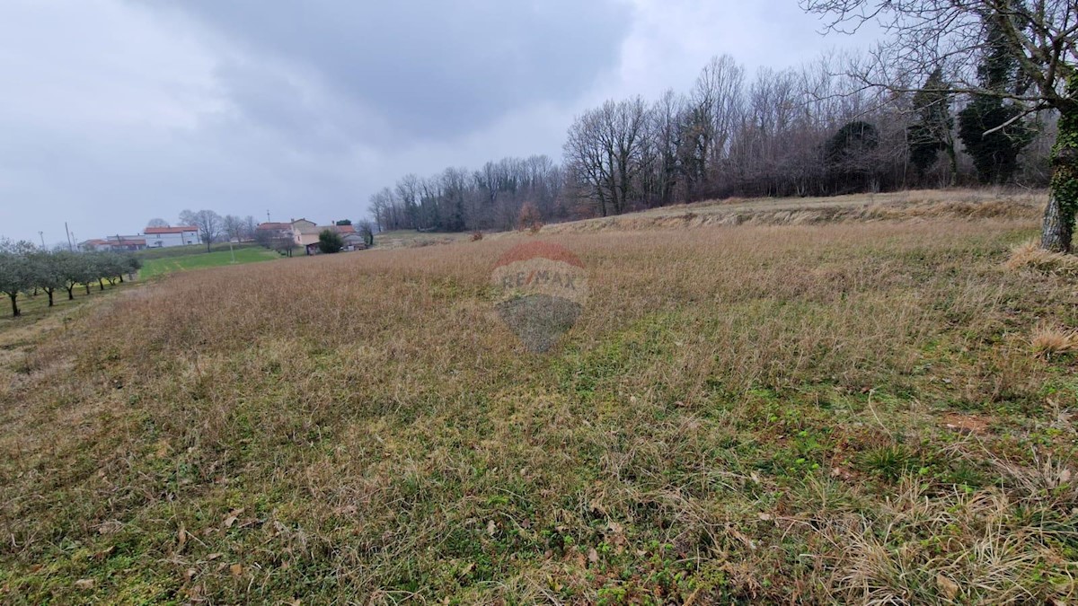Terrain À vendre - Istarska Barban - foto 3/7