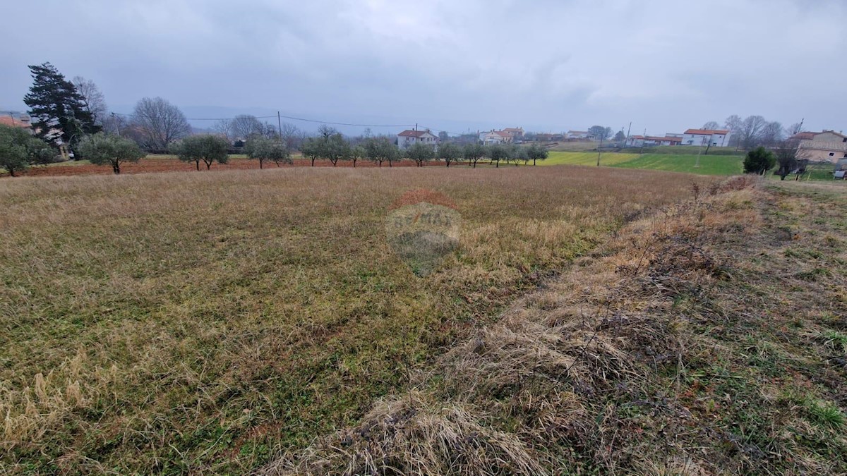 Terrain À vendre - ISTARSKA BARBAN