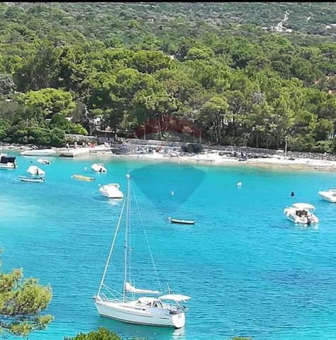 Haus Zu verkaufen - Primorsko-goranska Mali Lošinj - foto 4/15