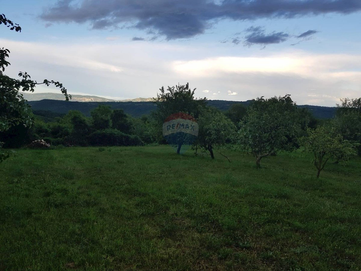 Dom Na predaj - ISTARSKA Barban