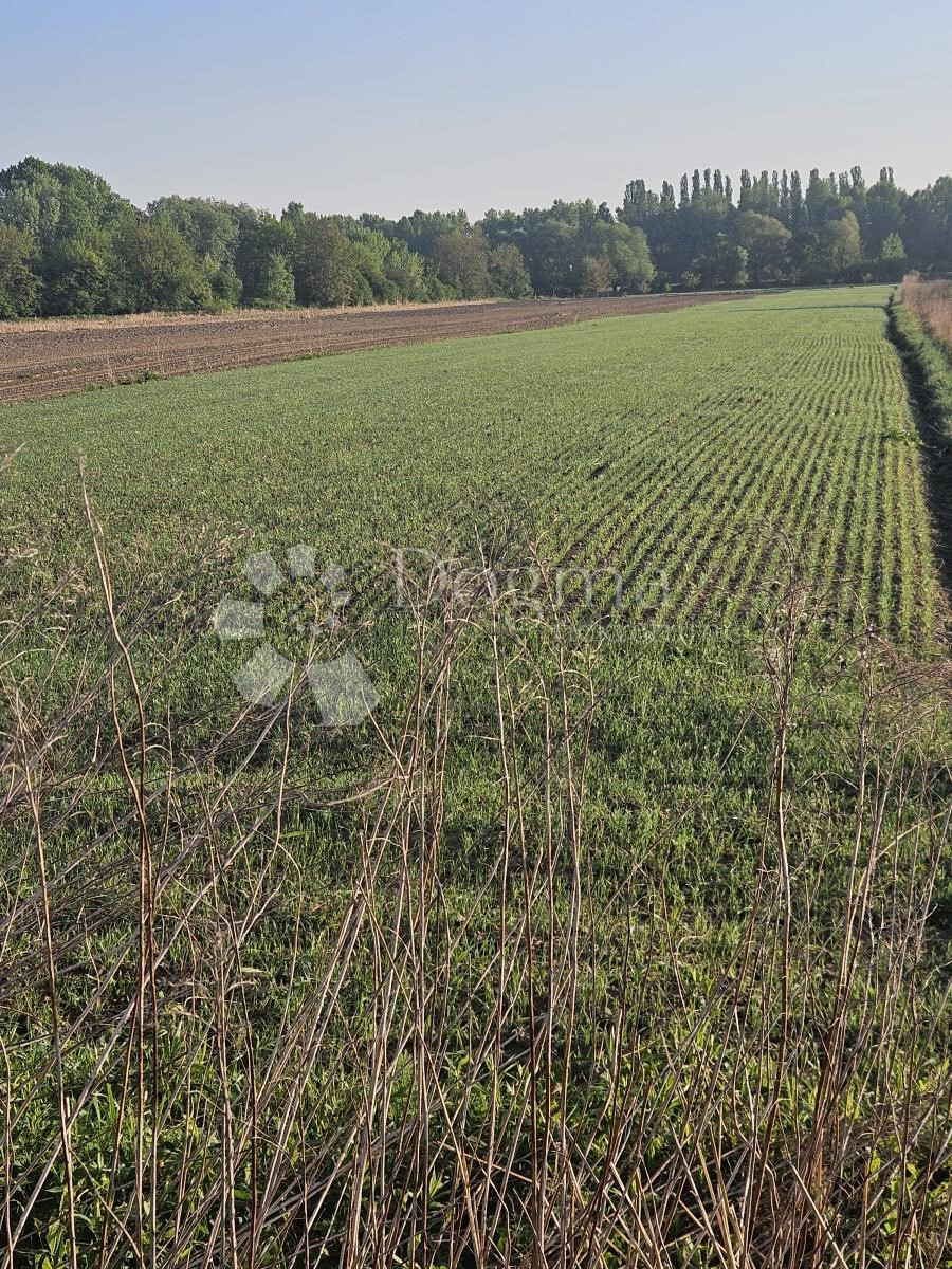 Terrain À vendre