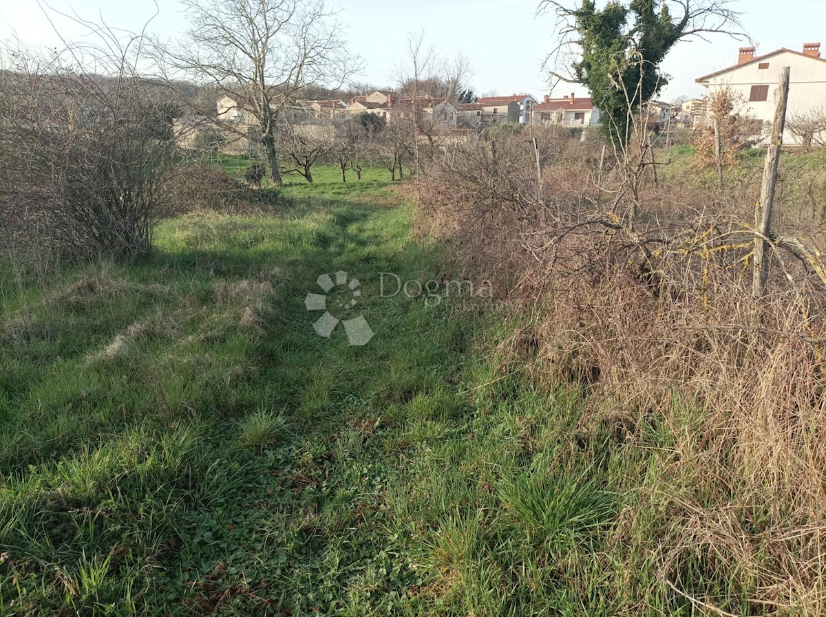 Land For sale - ISTARSKA BARBAN