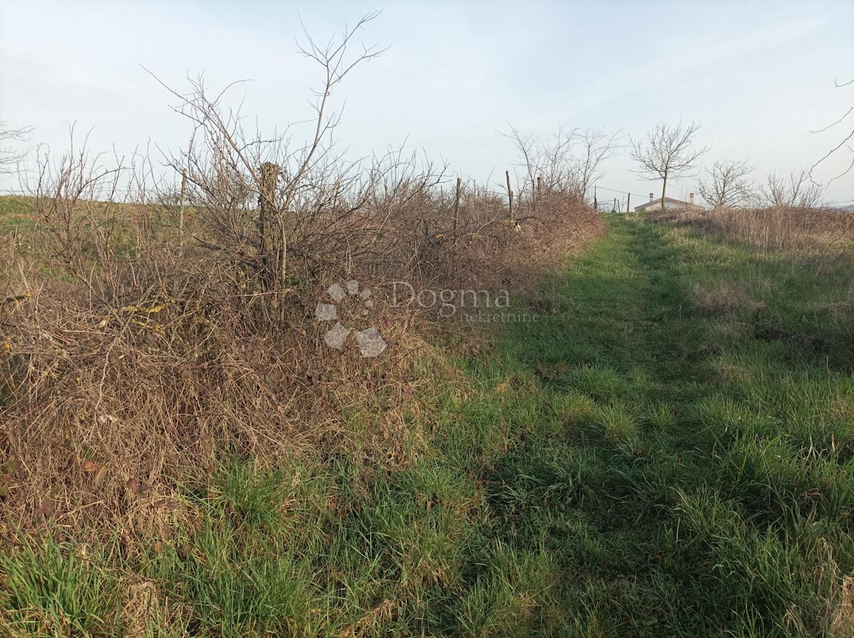 Land For sale - ISTARSKA BARBAN