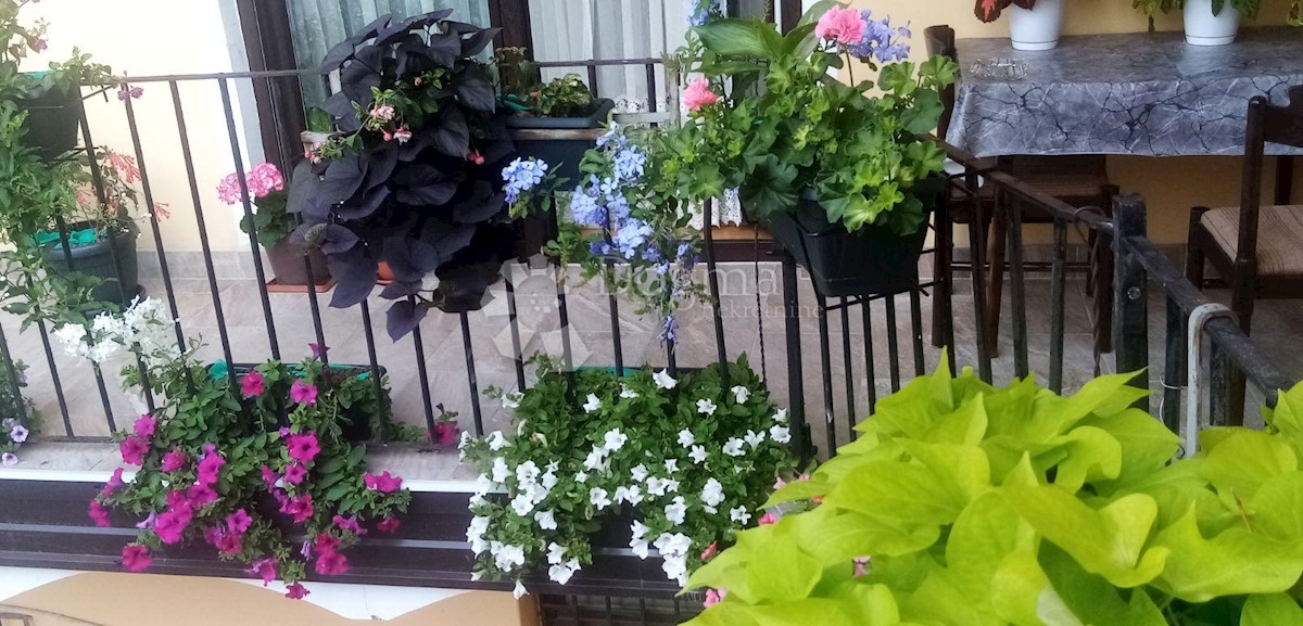 Apartmán Na predaj - MEĐIMURSKA ČAKOVEC