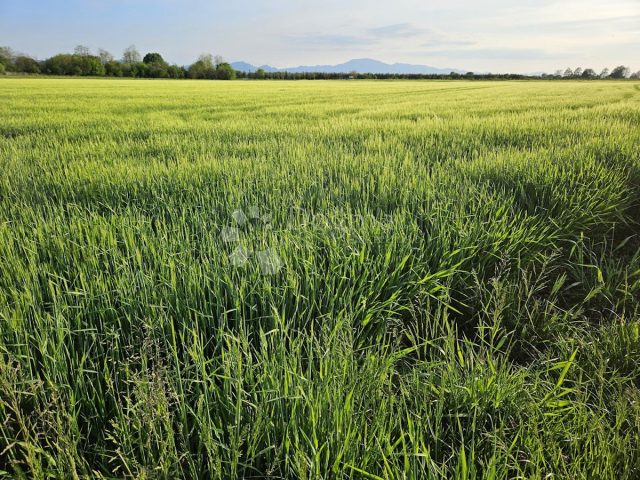 Grundstück Zu verkaufen - Varaždinska Varaždin - foto 2/6