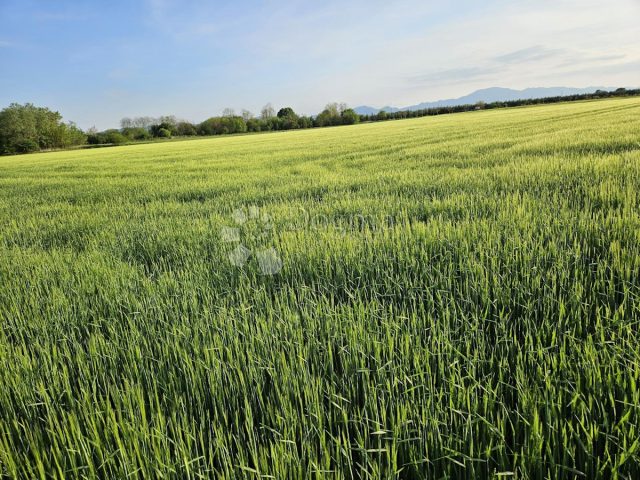 Grundstück Zu verkaufen - Varaždinska Varaždin - foto 3/6
