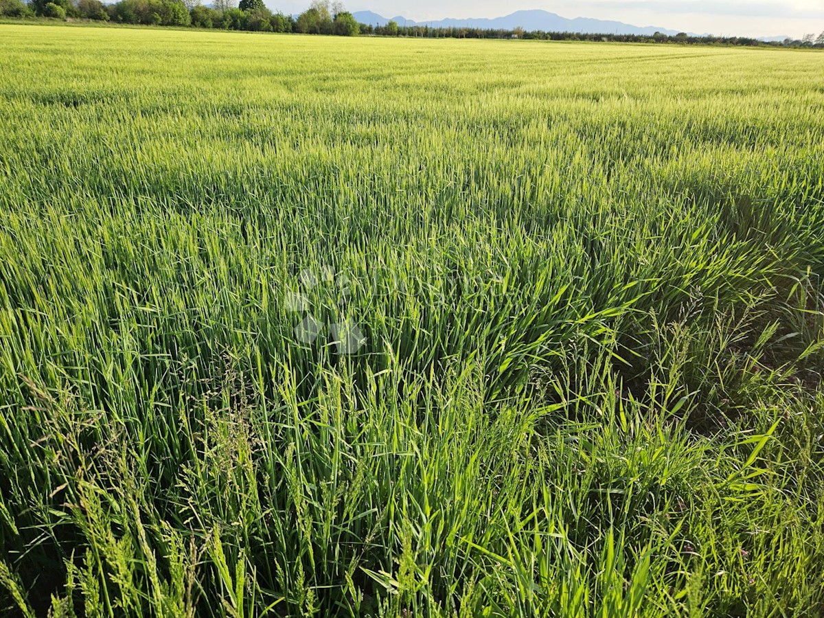 Zemljište Na prodaju - VARAŽDINSKA VARAŽDIN