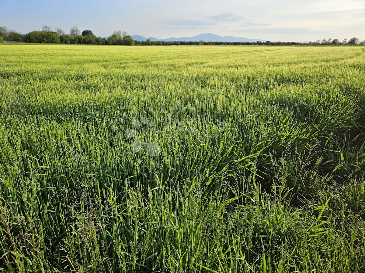 Zemljište Na prodaju - VARAŽDINSKA VARAŽDIN