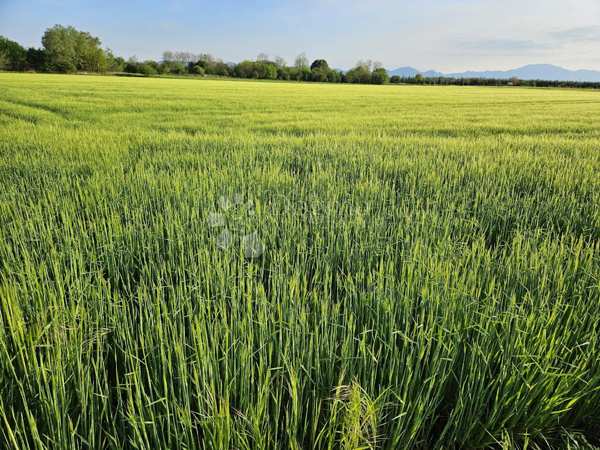 Zemljište Na prodaju - VARAŽDINSKA VARAŽDIN