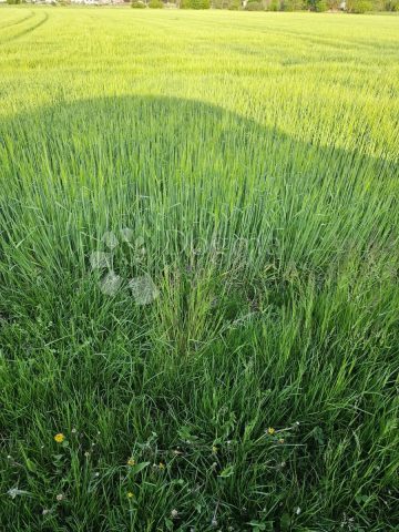 Parcela Naprodaj - Varaždinska Varaždin - foto 2/3