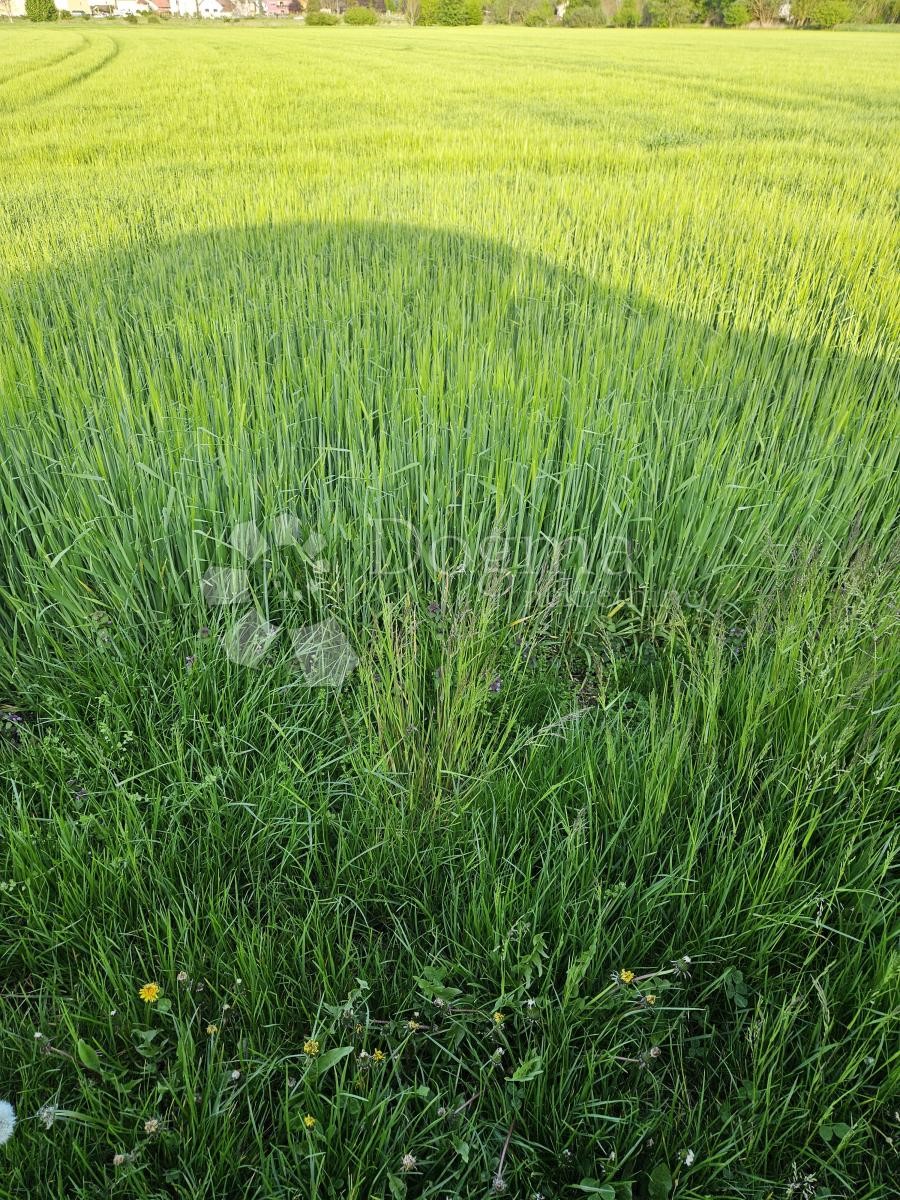 Pozemek Na prodej - VARAŽDINSKA VARAŽDIN