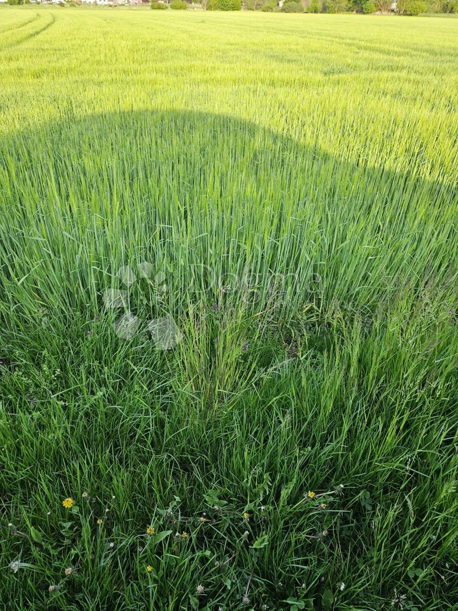 Zemljište Na prodaju - VARAŽDINSKA VARAŽDIN