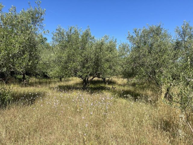 Pozemok na predaj 1111 m² – Pridraga