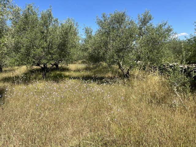 Grundstück Zu verkaufen - Zadarska Novigrad - foto 2/5