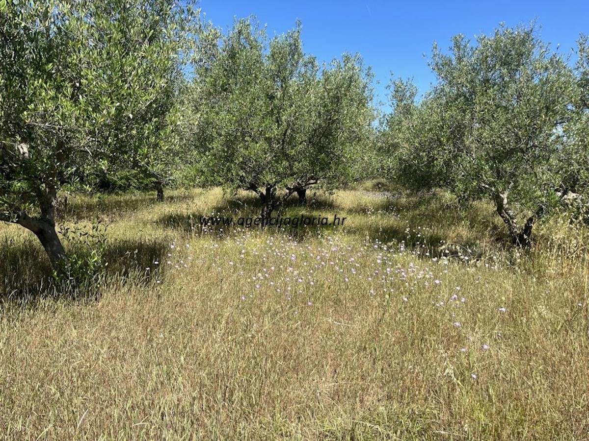 Zemljište Na prodaju - ZADARSKA NOVIGRAD