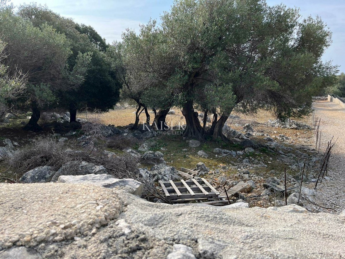 Terreno In vendita - ZADARSKA PAG