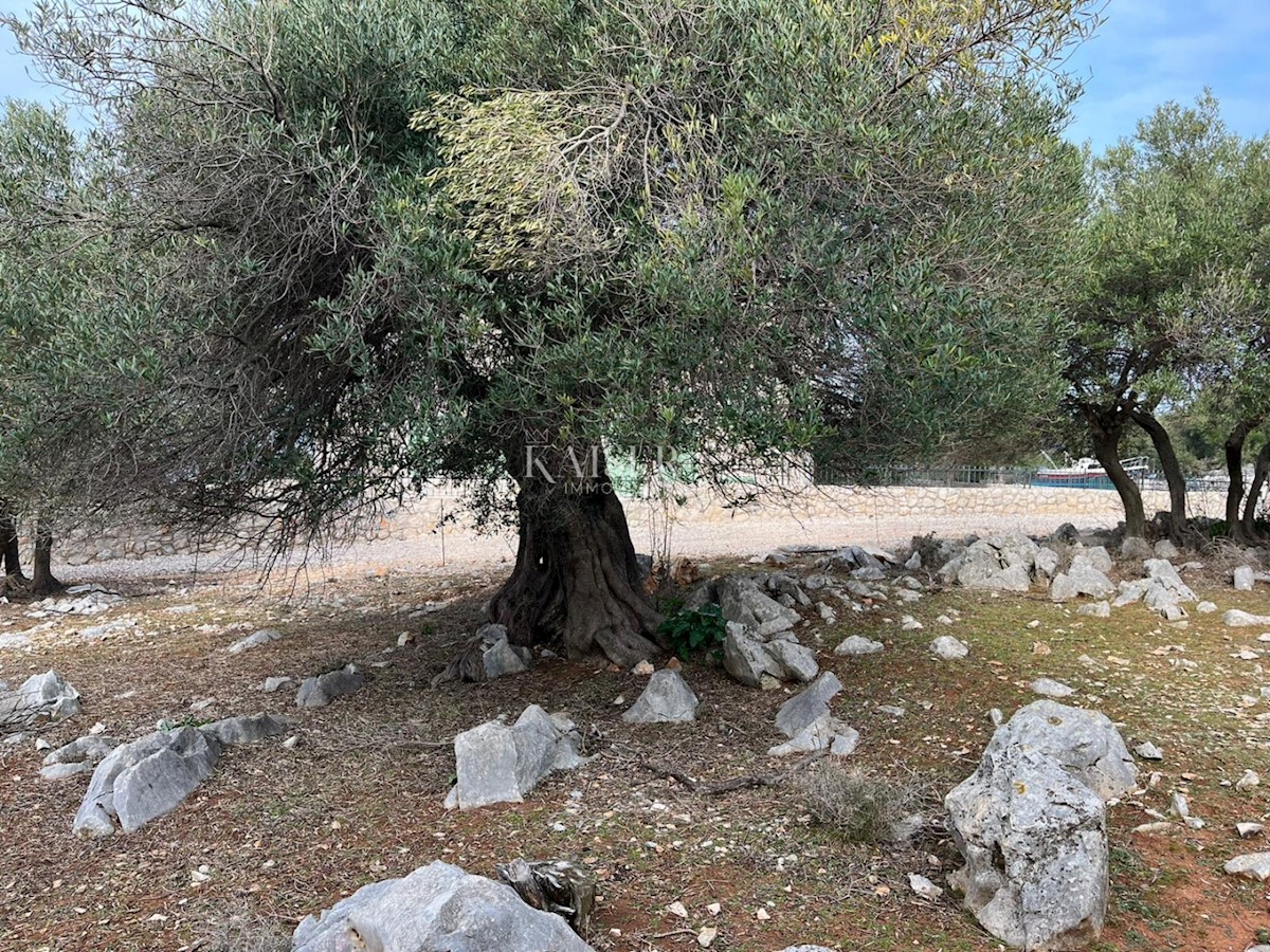 Terreno In vendita - ZADARSKA PAG