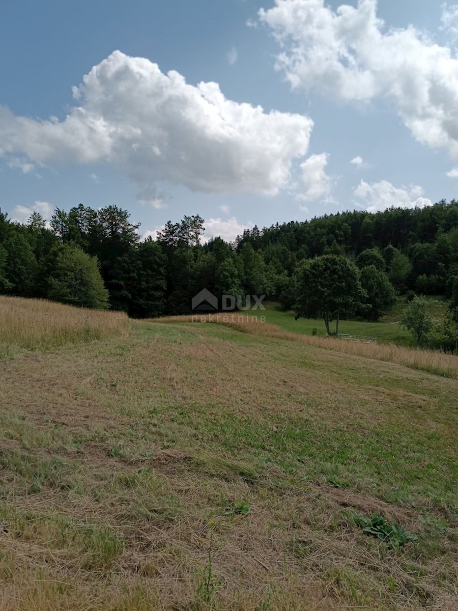 Land For sale - PRIMORSKO-GORANSKA RAVNA GORA