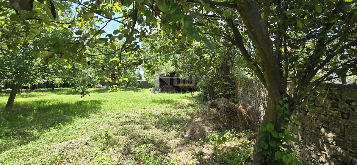 Haus Zu verkaufen - ISTARSKA SVETVINČENAT