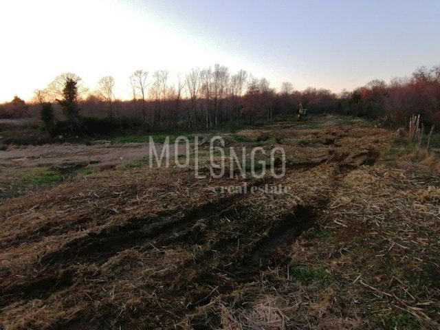 Grundstück Zu verkaufen - Istarska Tar-vabriga - foto 4/4