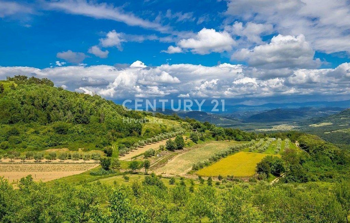 Hiša Na predaj - ISTARSKA VIŽINADA