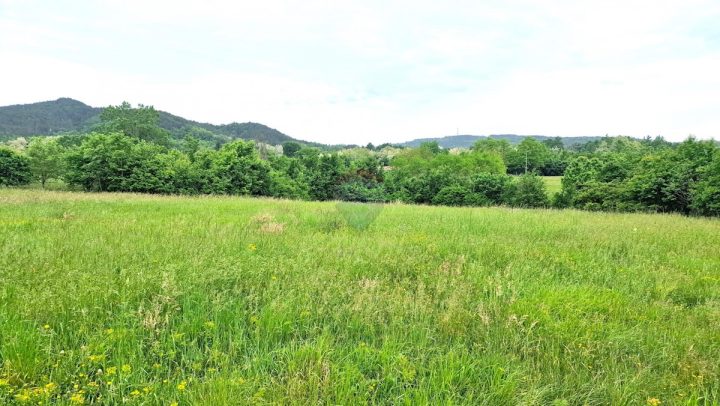 Pozemek na prodej 7500 m² – Pazin