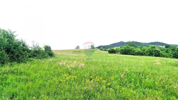 Parcela Naprodaj - Istarska Pazin - foto 5/13