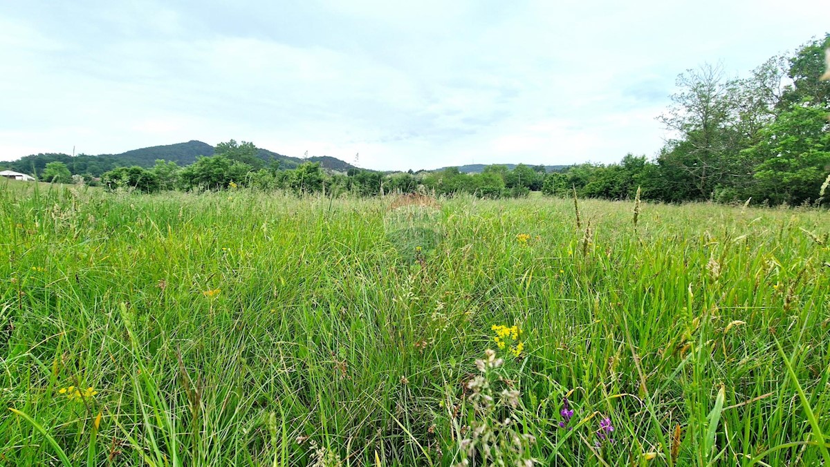 Land For sale - ISTARSKA PAZIN