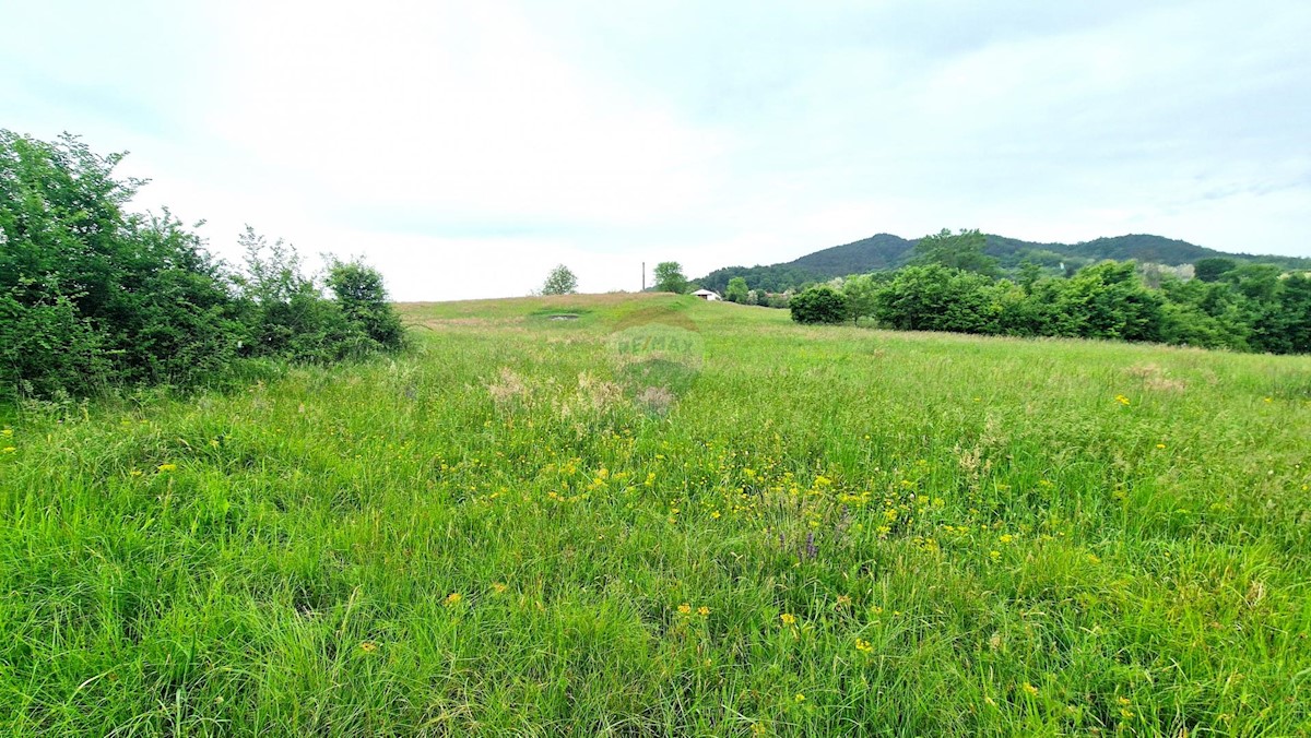 Land For sale - ISTARSKA PAZIN