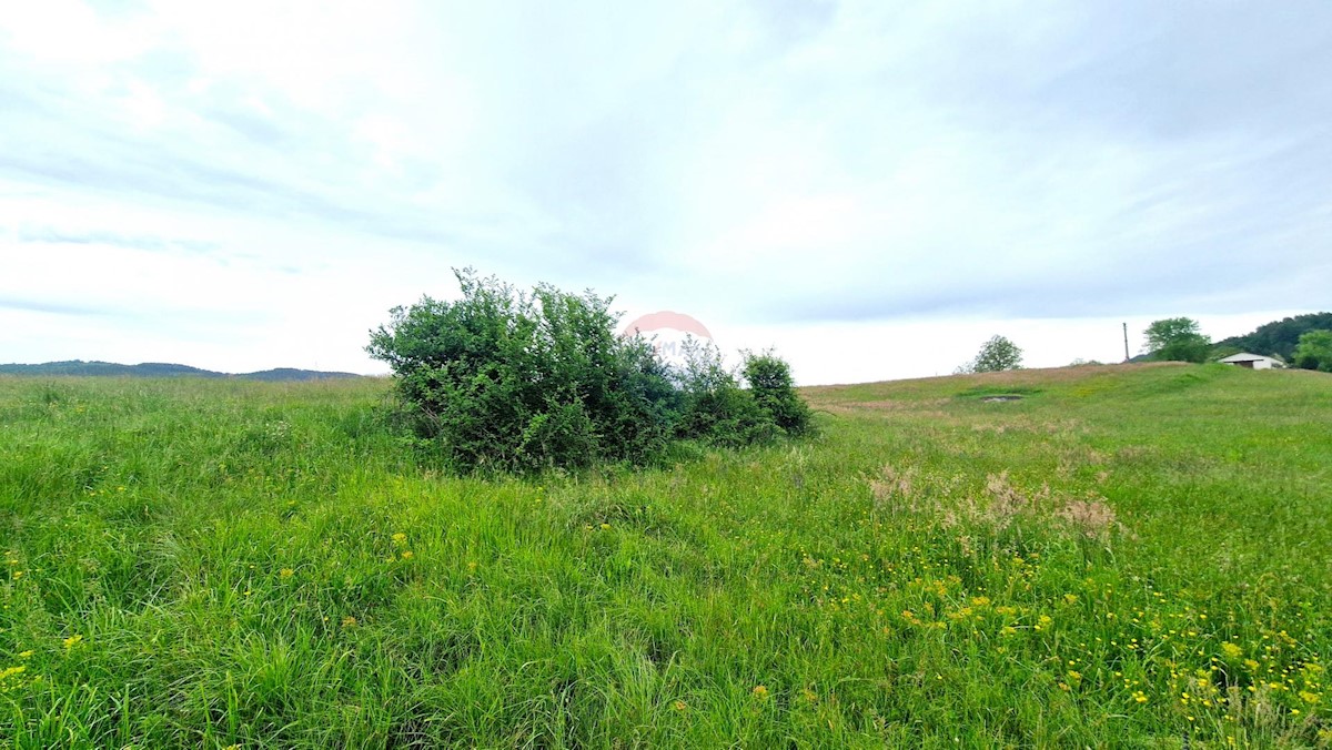 Land For sale - ISTARSKA PAZIN