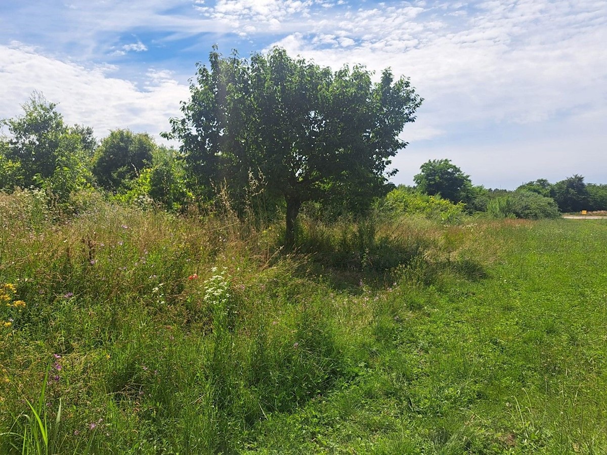 Pozemek Na prodej - ISTARSKA POREČ