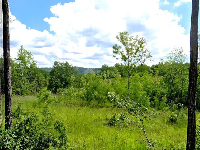 Land for sale 3645 m² – Grožnjan