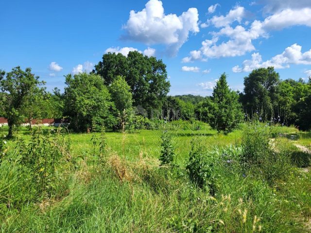 Terreno In vendita - Istarska Brtonigla - foto 3/3