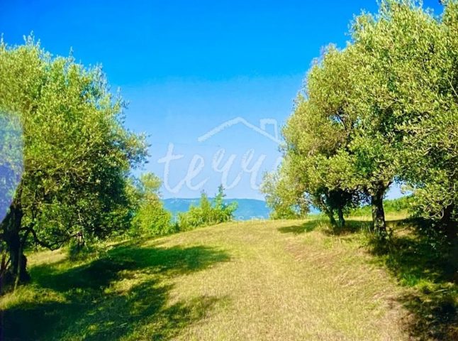 Parcela Naprodaj - Istarska Cerovlje - foto 2/5