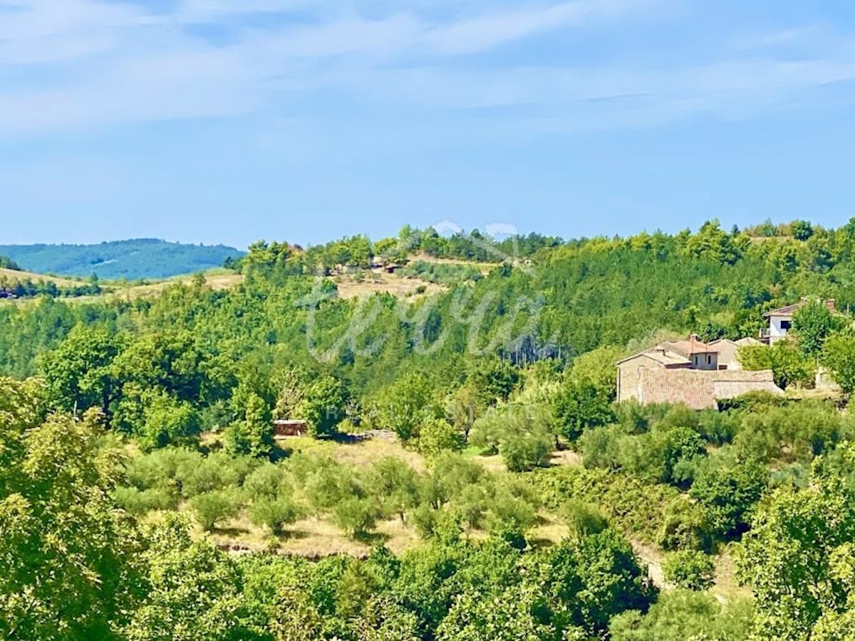 Terreno In vendita - ISTARSKA CEROVLJE