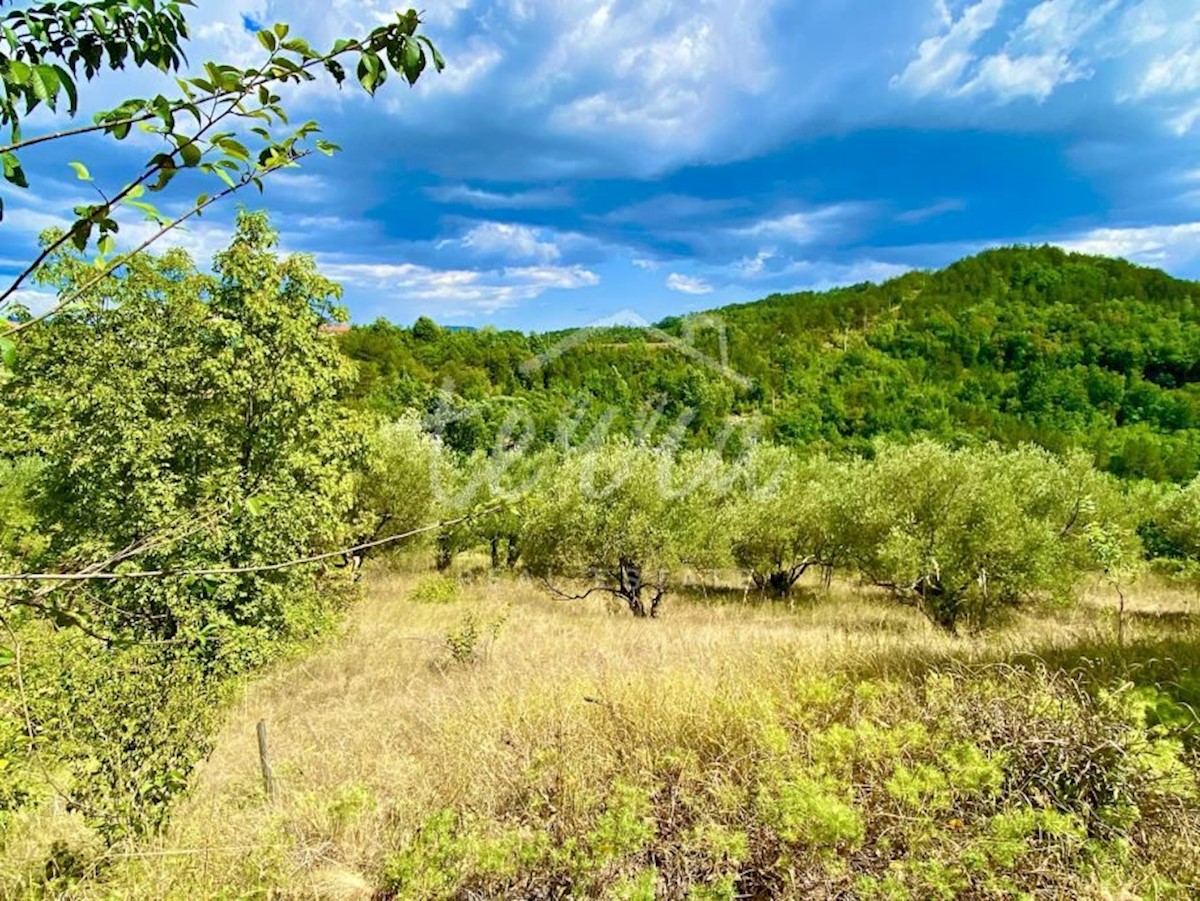 Pozemok Na predaj - ISTARSKA CEROVLJE