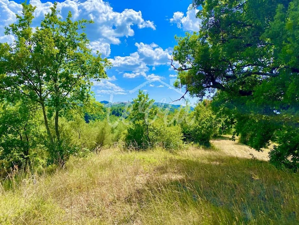 Pozemok Na predaj - ISTARSKA CEROVLJE