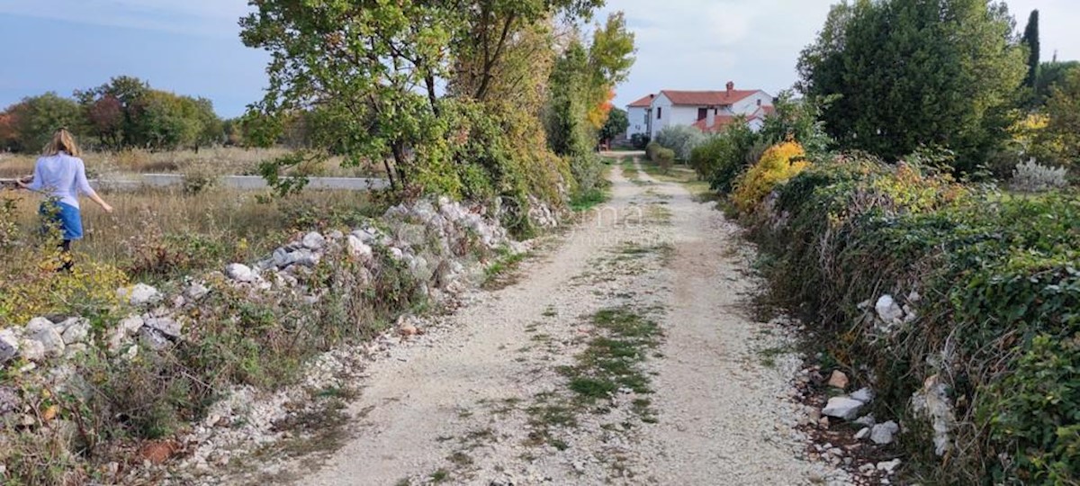 Terrain À vendre - Istarska Marčana - foto 5/6