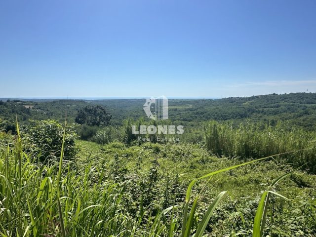 Pozemek Na prodej - Istarska Buje - foto 4/8