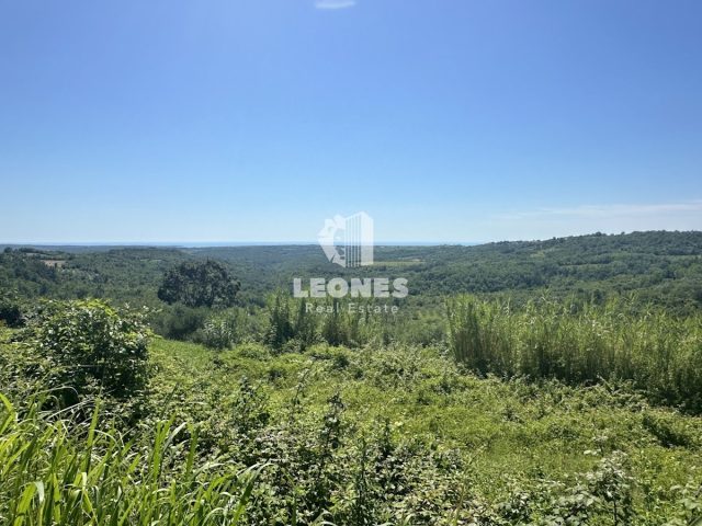 Pozemek Na prodej - Istarska Buje - foto 5/8