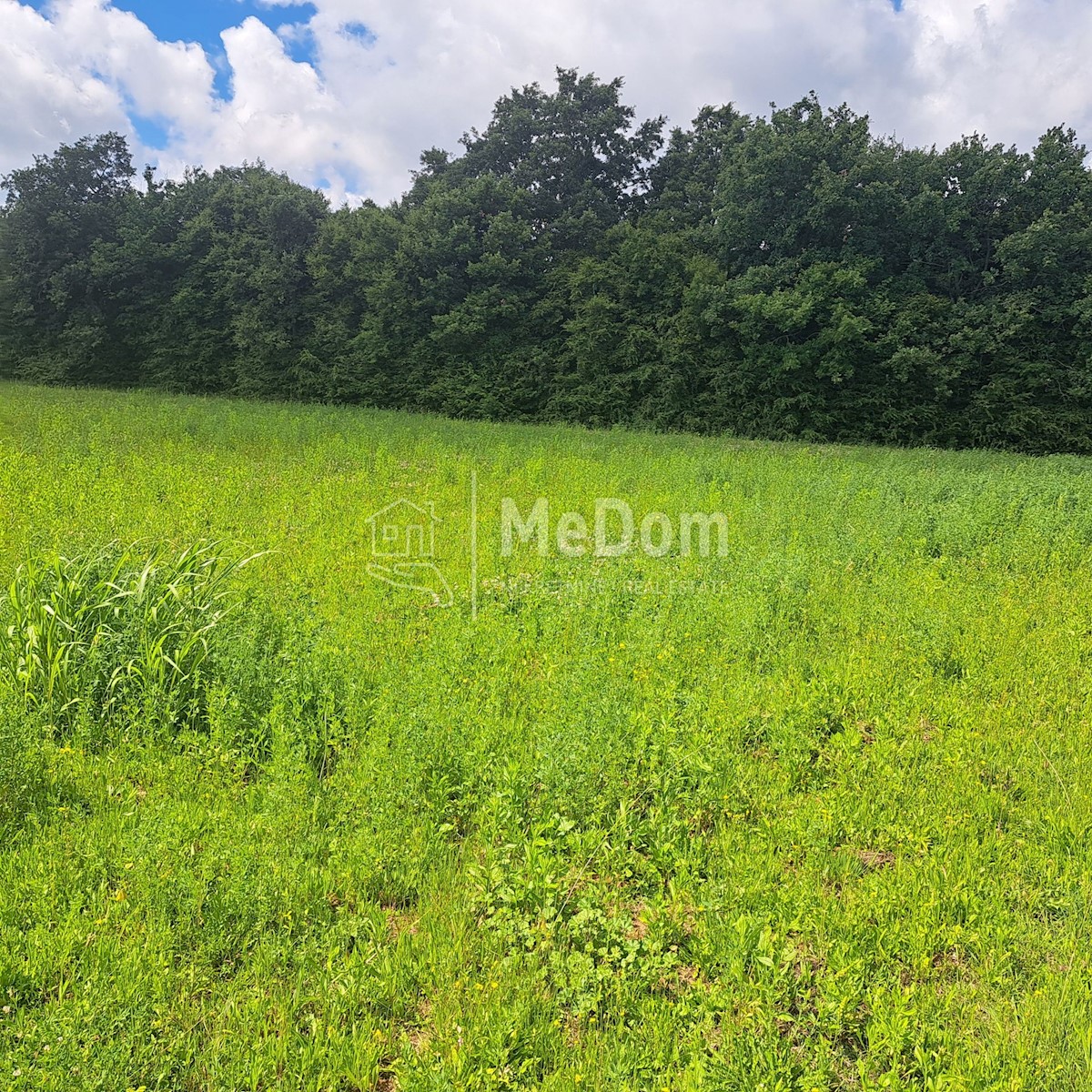 Działka Na sprzedaż - ISTARSKA BARBAN