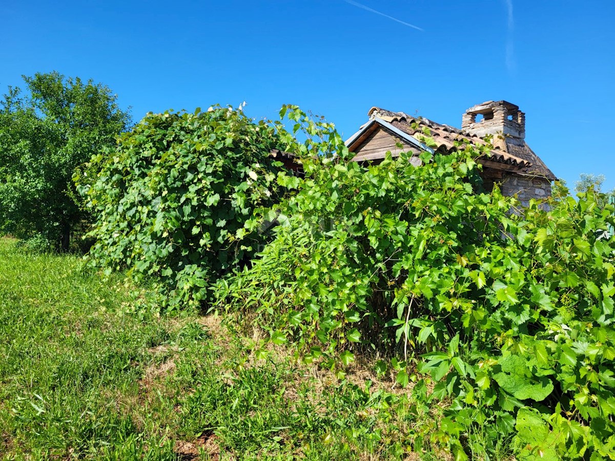 Zemljište Na prodaju - ISTARSKA NOVIGRAD