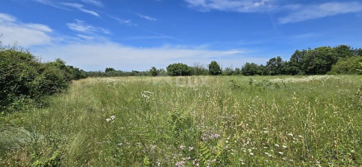 Land For sale - Istarska Svetvinčenat - foto 2/20