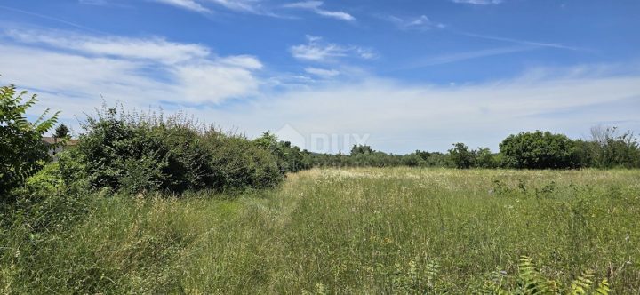 Land For sale - Istarska Svetvinčenat - foto 4/20