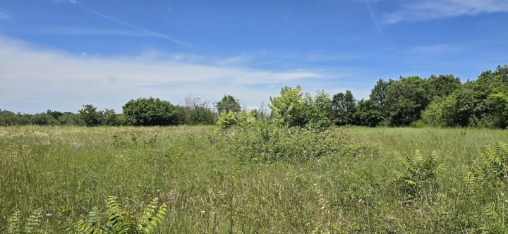 Land For sale - Istarska Svetvinčenat - foto 5/20